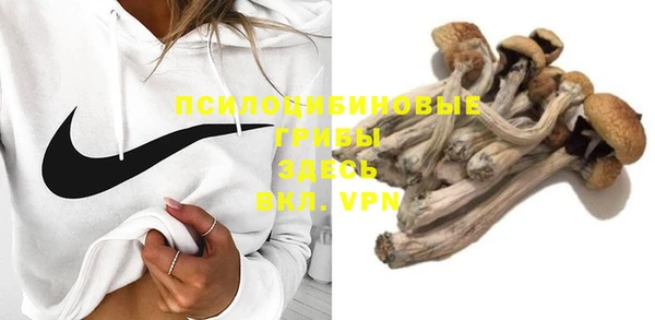 гашик Верея