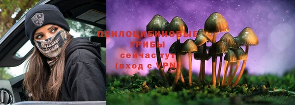 не бодяженный Иннополис