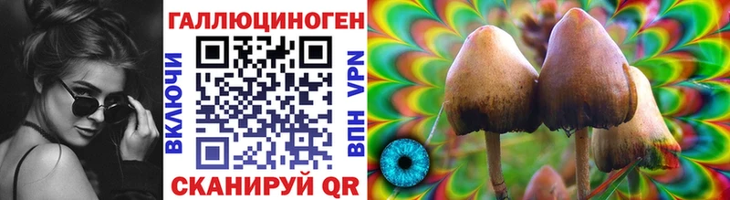наркота  Карасук  Псилоцибиновые грибы Cubensis 
